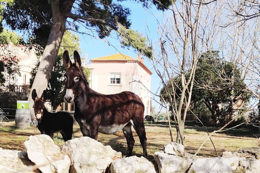 Au Coeur De La Nature Coursan Luaran gambar